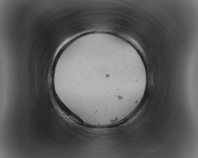 X0000084540944200703231711