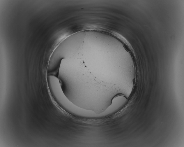 X0000084540946200703231711