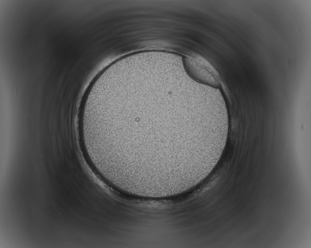 X0000084540947200703231711