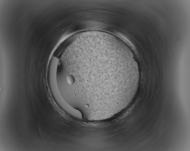 X0000084540948200703231711