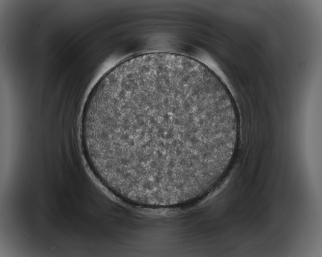 X0000084540949200703231711