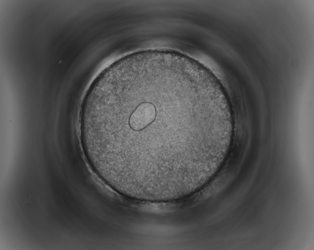 X0000084540950200703231711