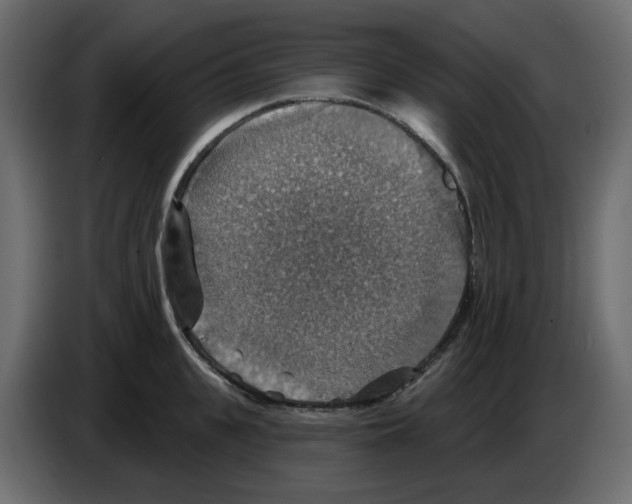 X0000084540951200703231711