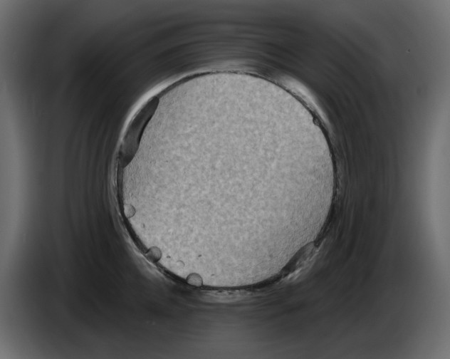 X0000084540952200703231711