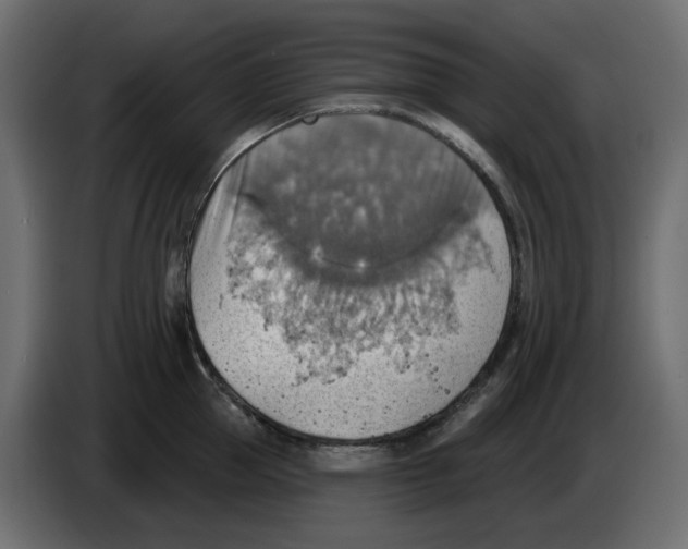 X0000084540953200703231711