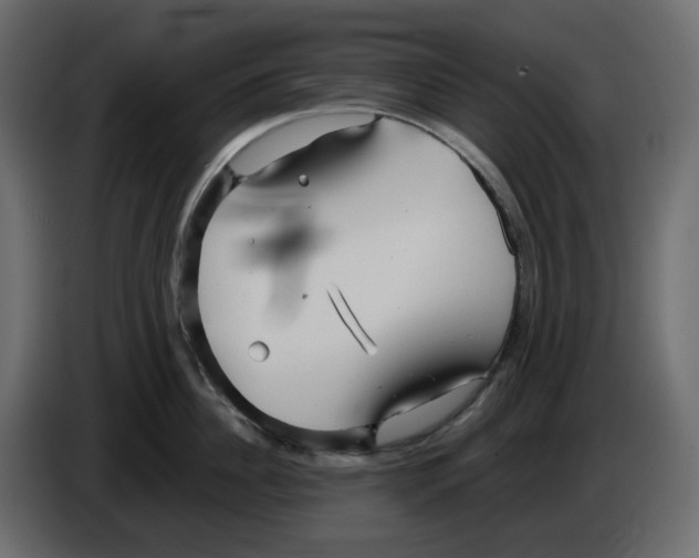 X0000084540956200703231711