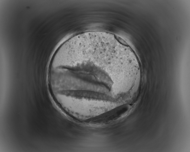 X0000084540957200703231711