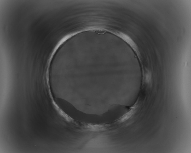 X0000084540958200703231711