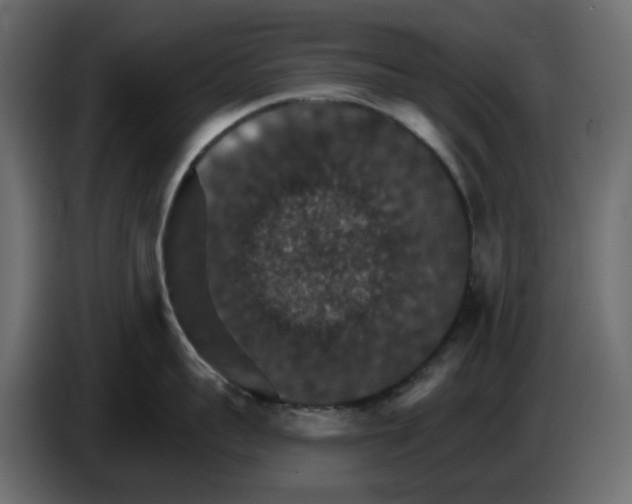 X0000084540959200703231711