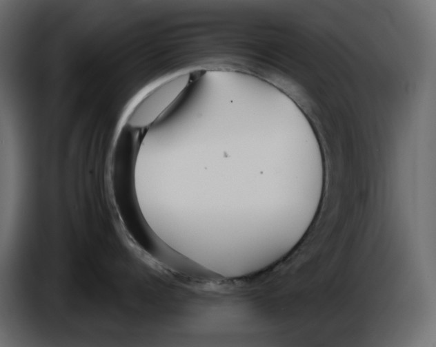 X0000084540960200703231711