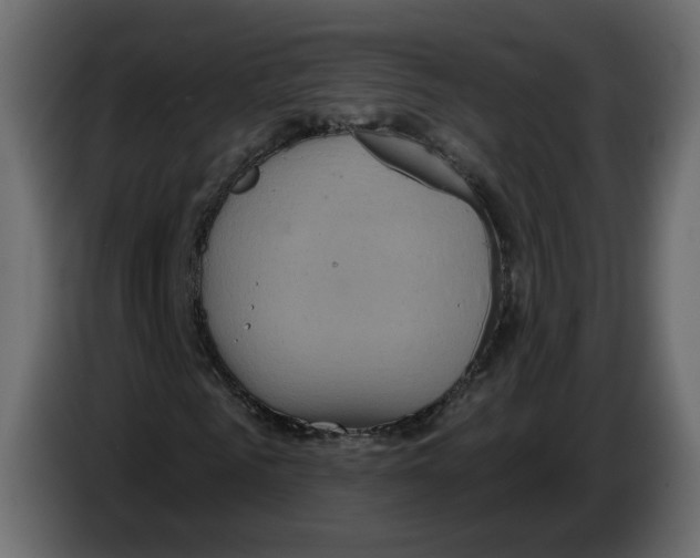 X0000084540961200703231711