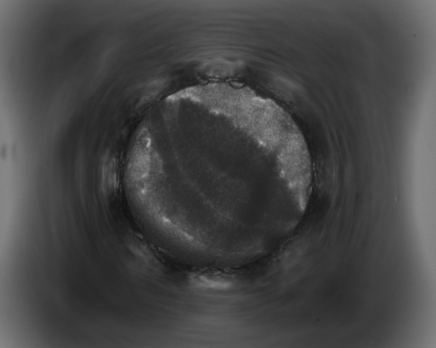 X0000084540962200703231711