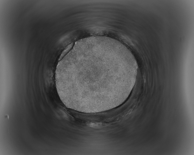 X0000084540964200703231711