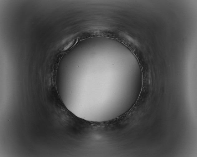 X0000084540965200703231711