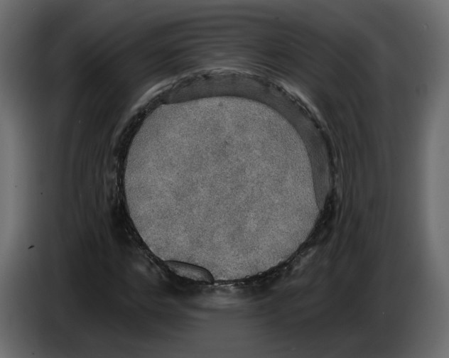 X0000084540968200703231710