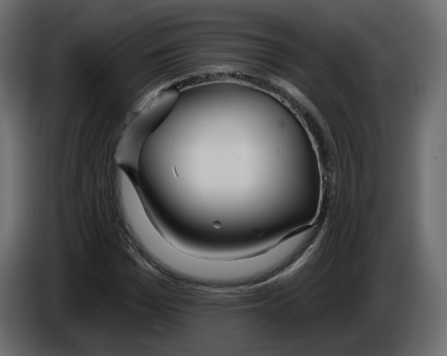 X0000084540969200703231710