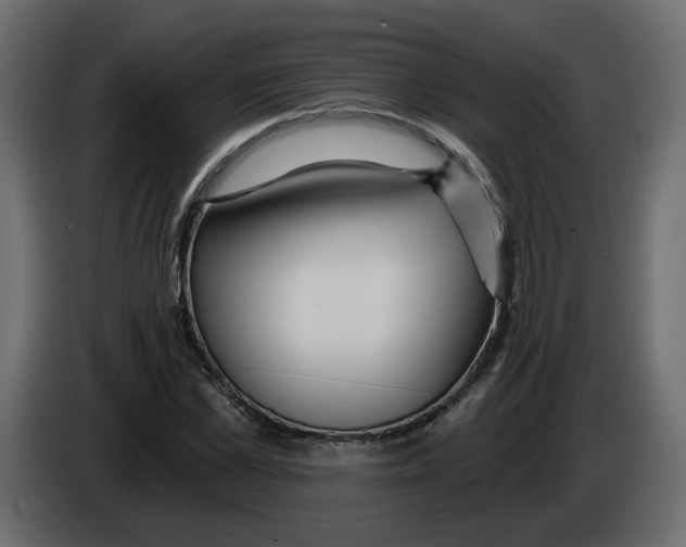 X0000084540973200703231710