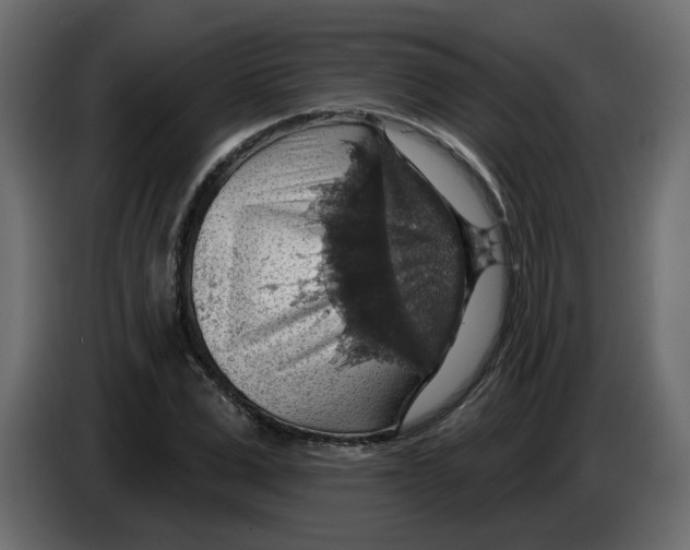 X0000084540975200703231710