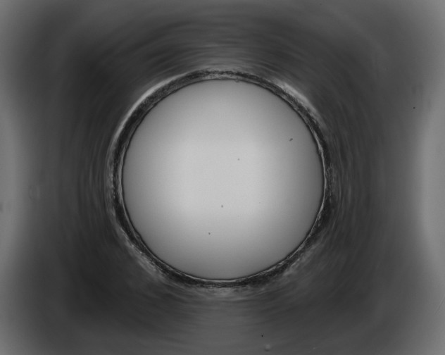 X0000084540976200703231710