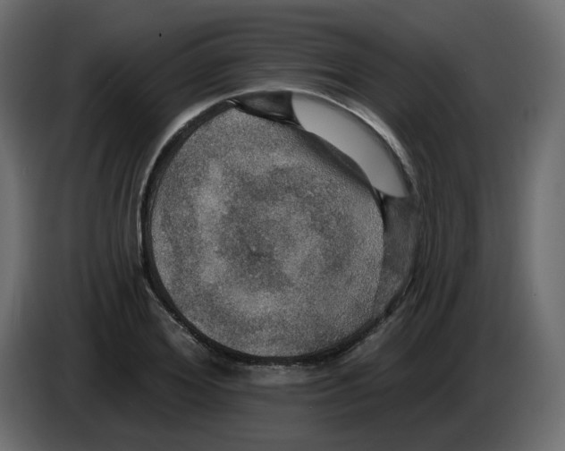 X0000084540980200703231710