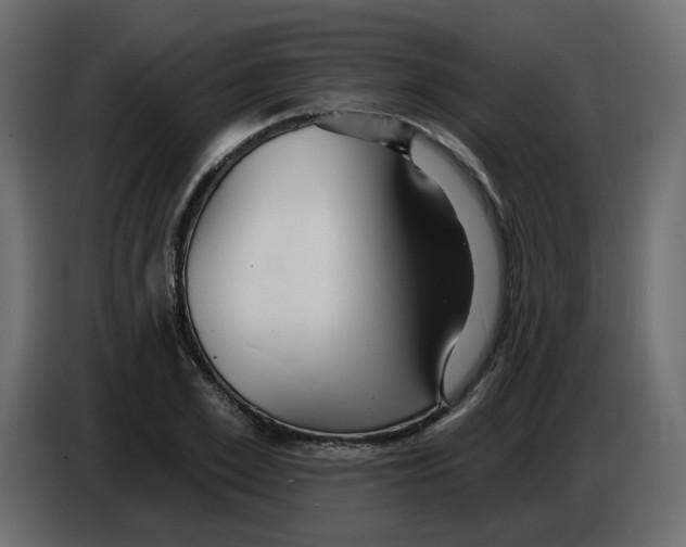 X0000084540981200703231710