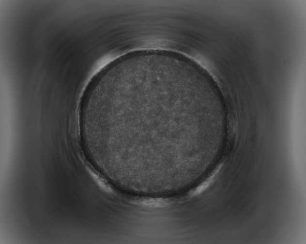 X0000084540982200703231710