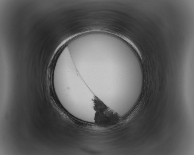 X0000084540983200703231710