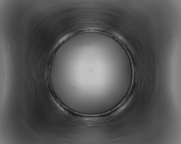 X0000084540985200703231710