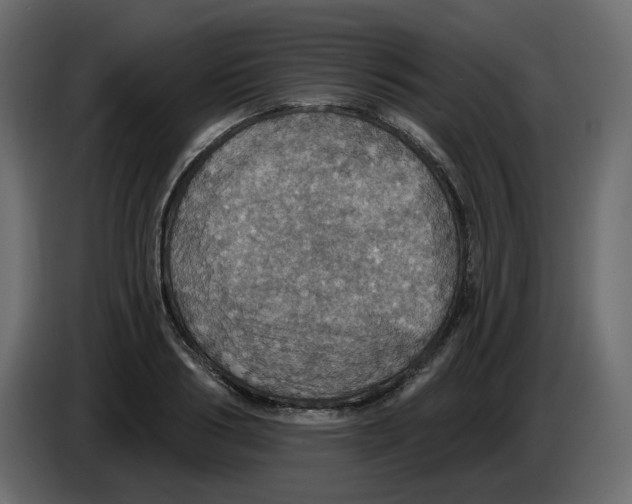 X0000084540986200703231710