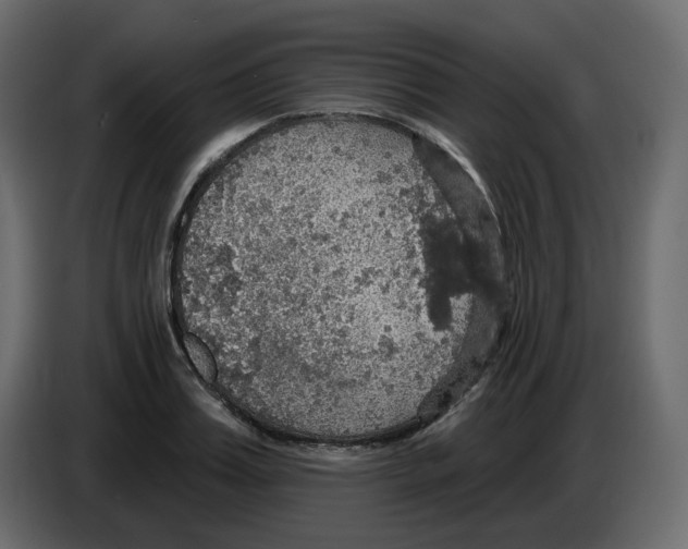 X0000084540987200703231710