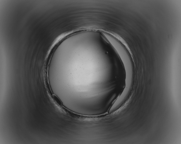 X0000084540989200703231710