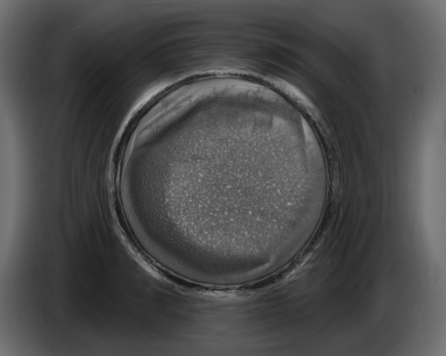 X0000084540990200703231710