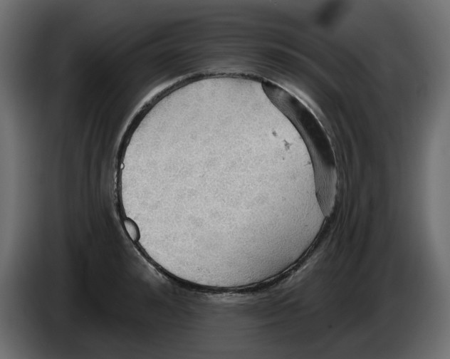 X0000084540992200703231710