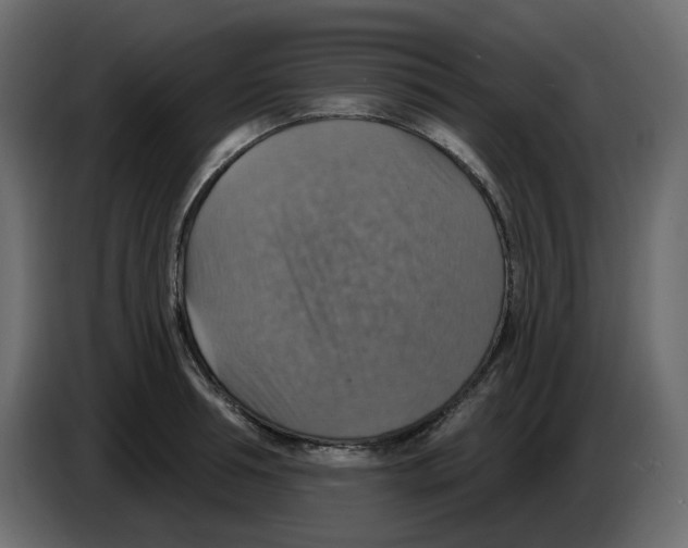 X0000084540994200703231710