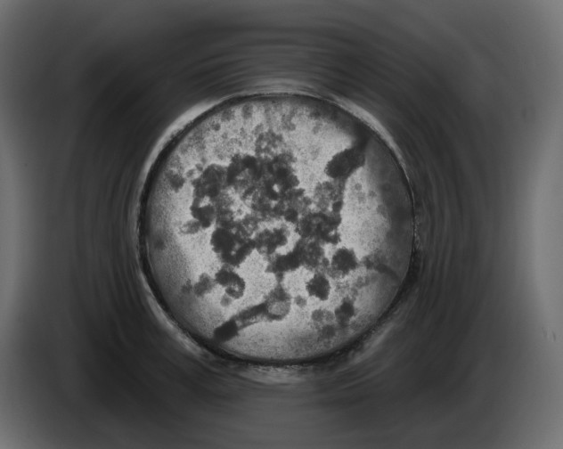 X0000084540995200703231710