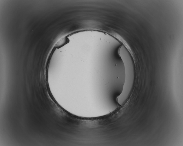 X0000084540996200703231710