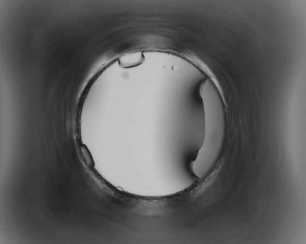 X0000084540997200703231710