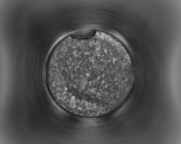 X0000084540999200703231710