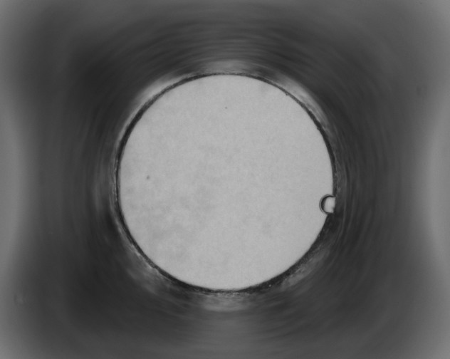 X0000084541000200703231710