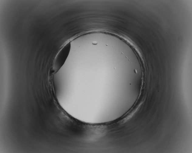 X0000084541001200703231710