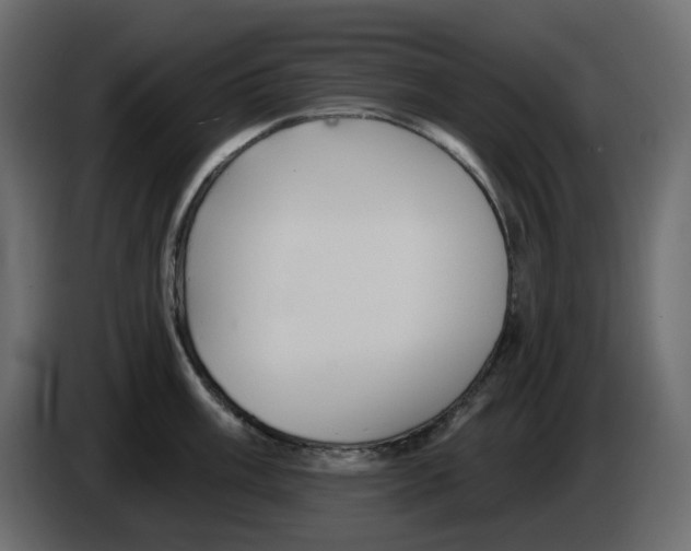 X0000084541003200703231710