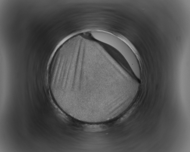 X0000084541004200703231710