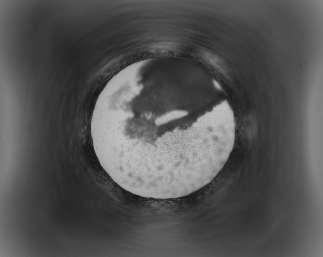 X0000084541015200703231709