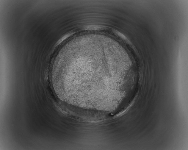 X0000084541017200703231709