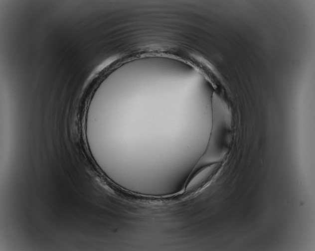 X0000084541018200703231709