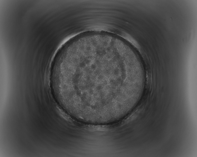 X0000084541020200703231709