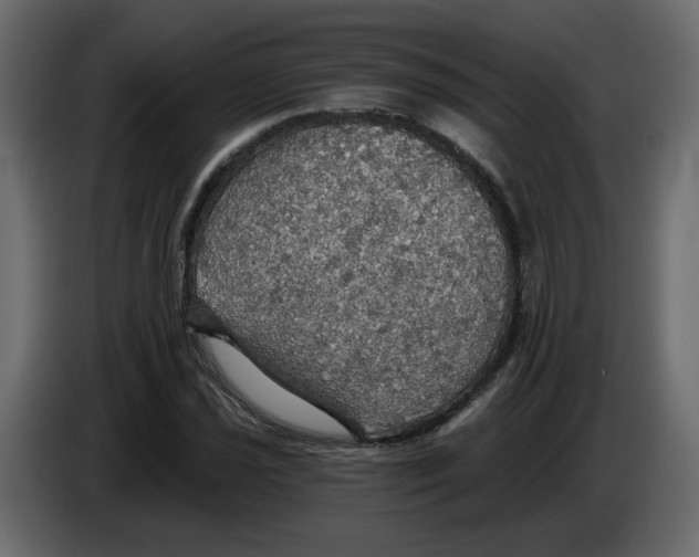 X0000084541021200703231709