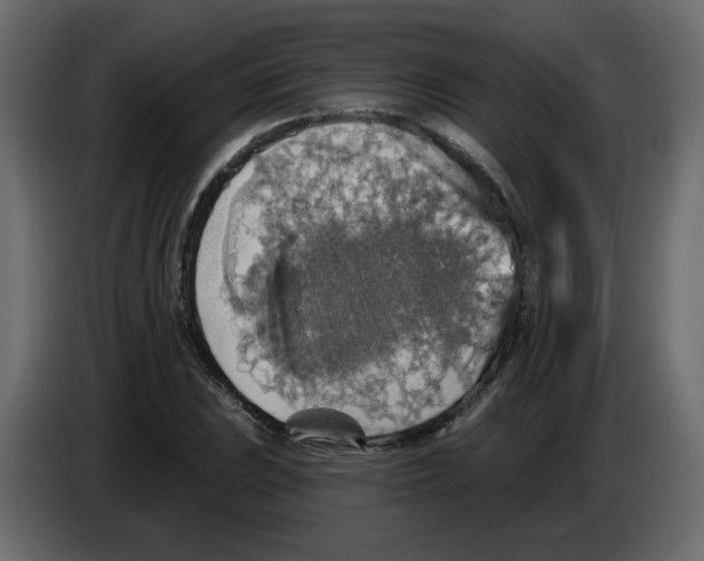 X0000084541023200703231709