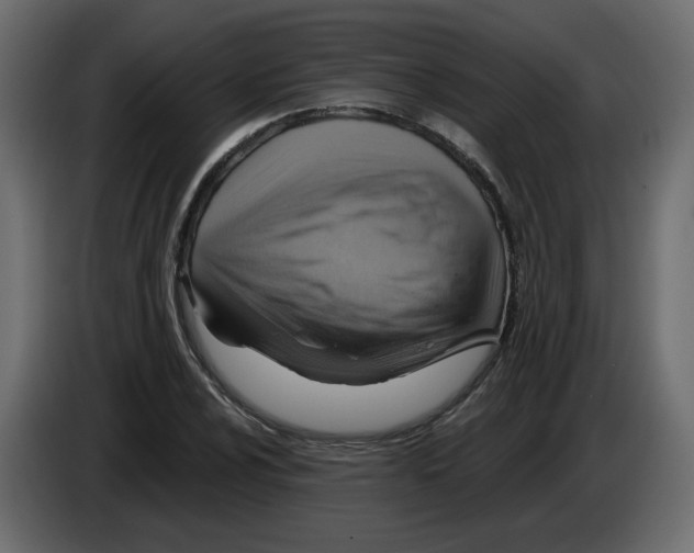 X0000084541024200703231709