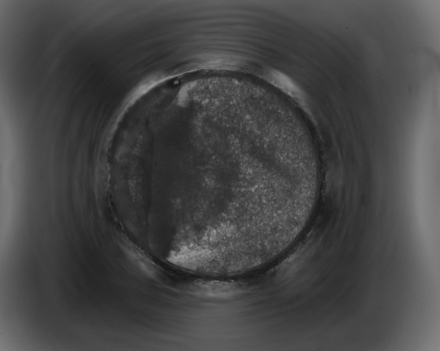 X0000084541027200703231709